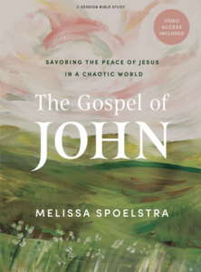 The Gospel of John Bible Study Book